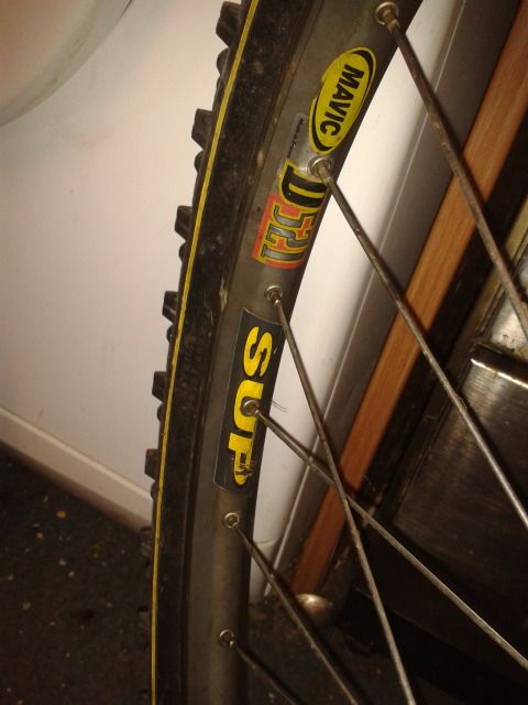 2013-01-26224656.jpg