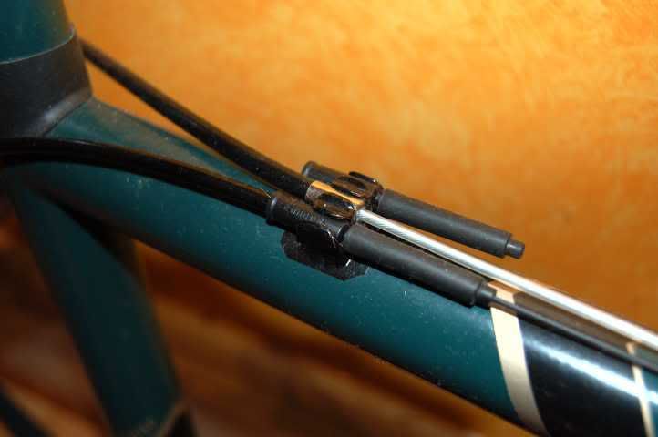 rear.jpg