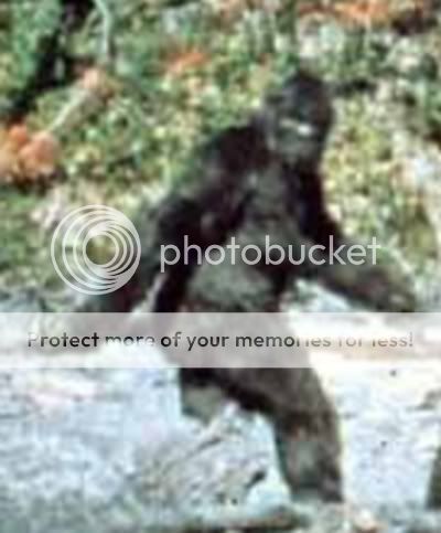 patterson_bigfoot.jpg
