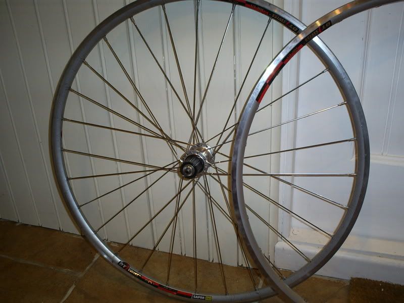 S5031251.jpg