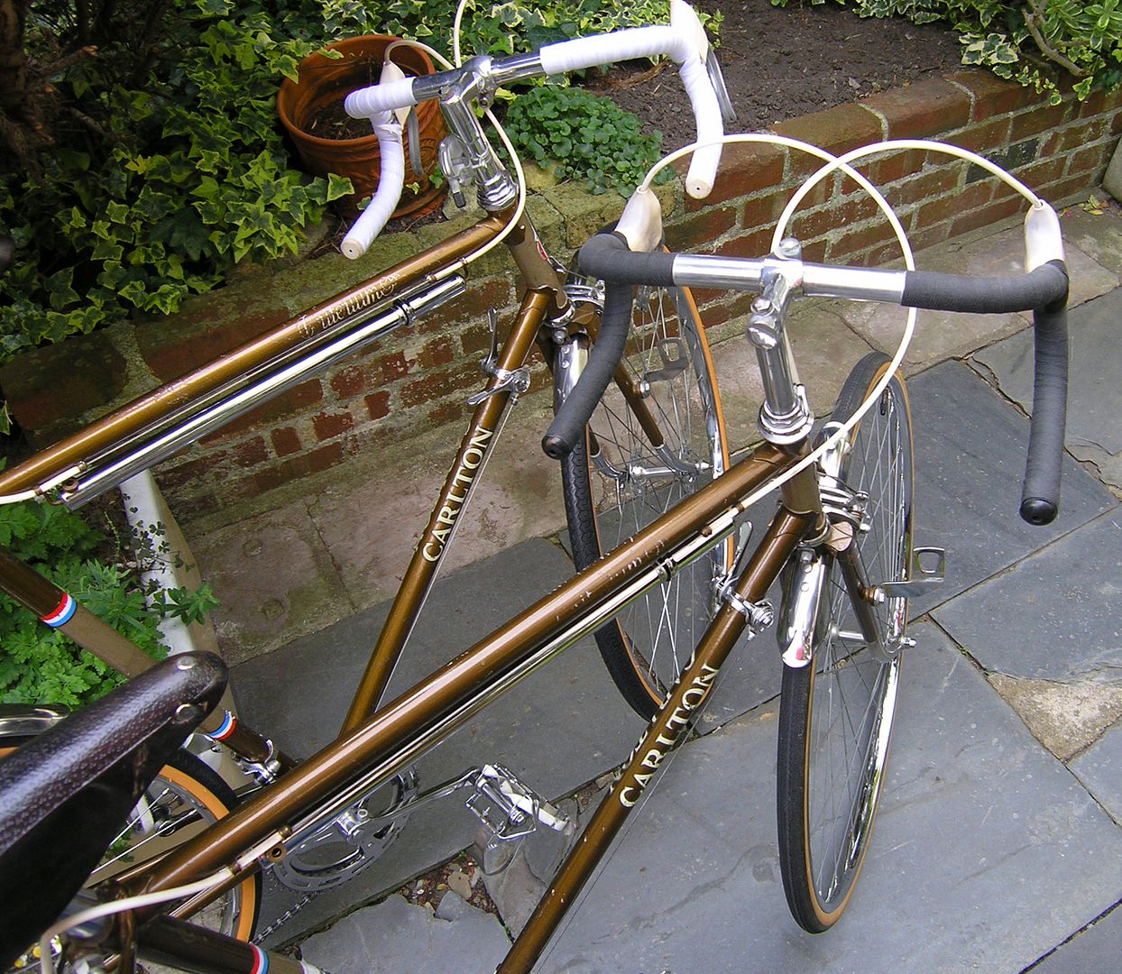 P9020191.jpg