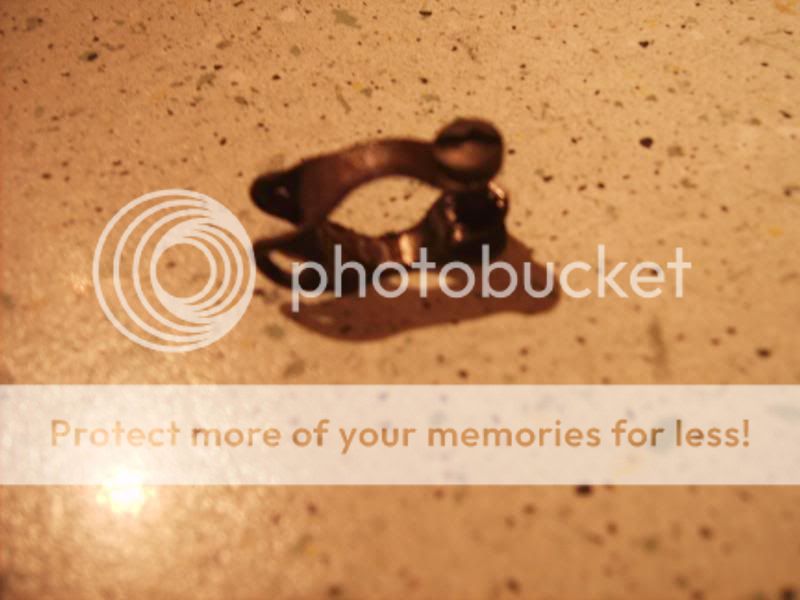PICT0424.jpg