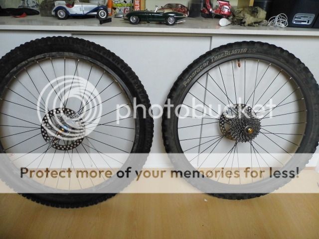 DSCI0051_zpsc086158c.jpg