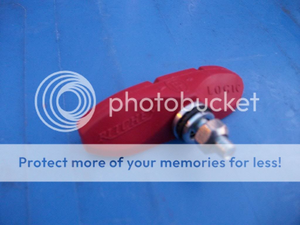 IMGP2240.jpg
