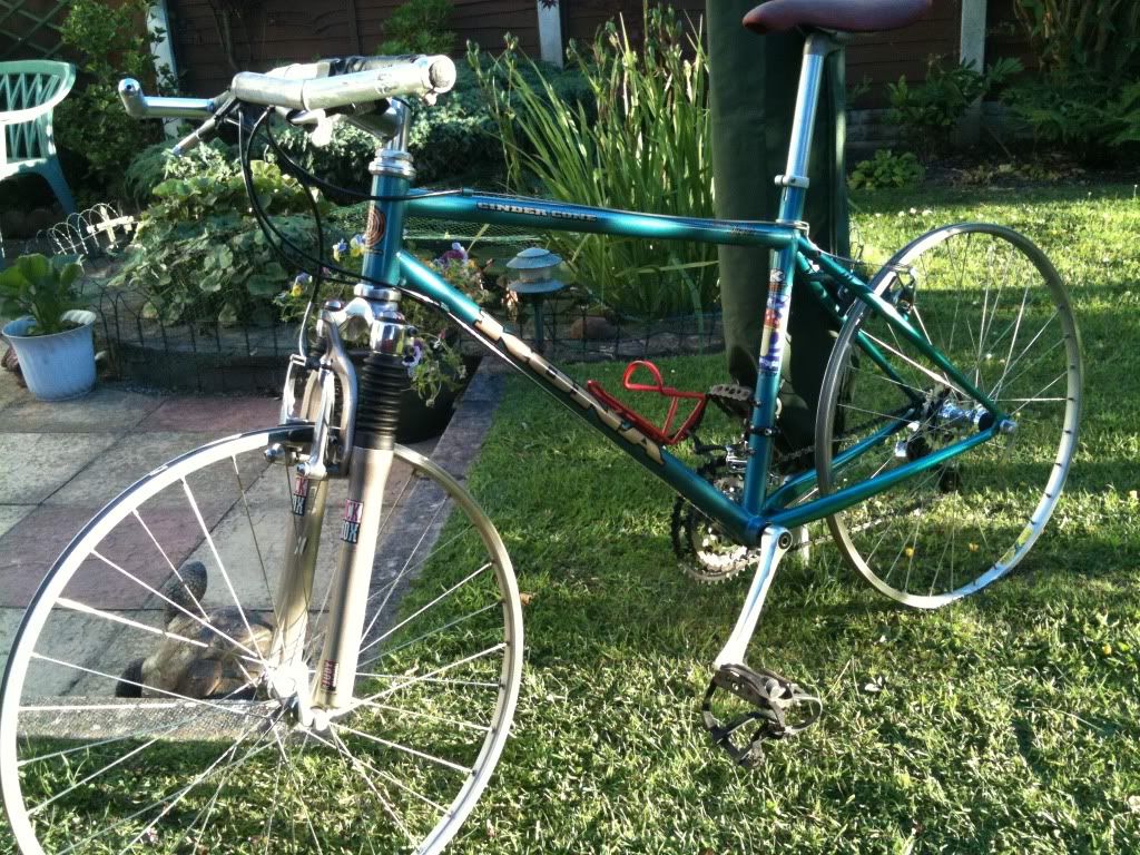 95d356be.jpg