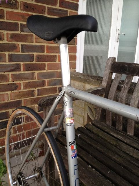 pinarello021.jpg