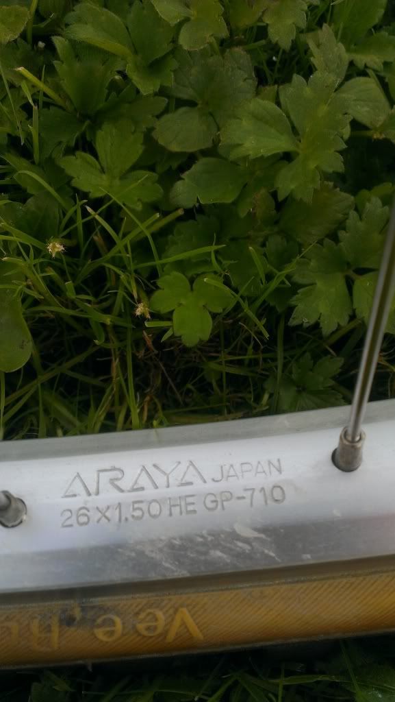 IMAG0265_zps92a89d44.jpg