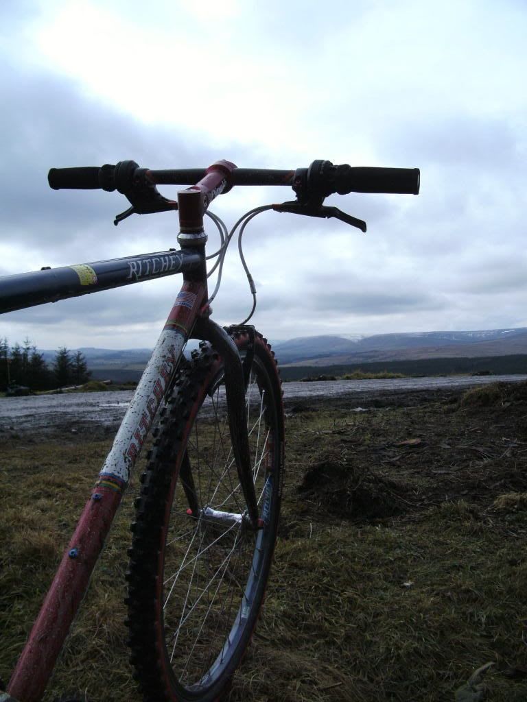 PICT1041.jpg