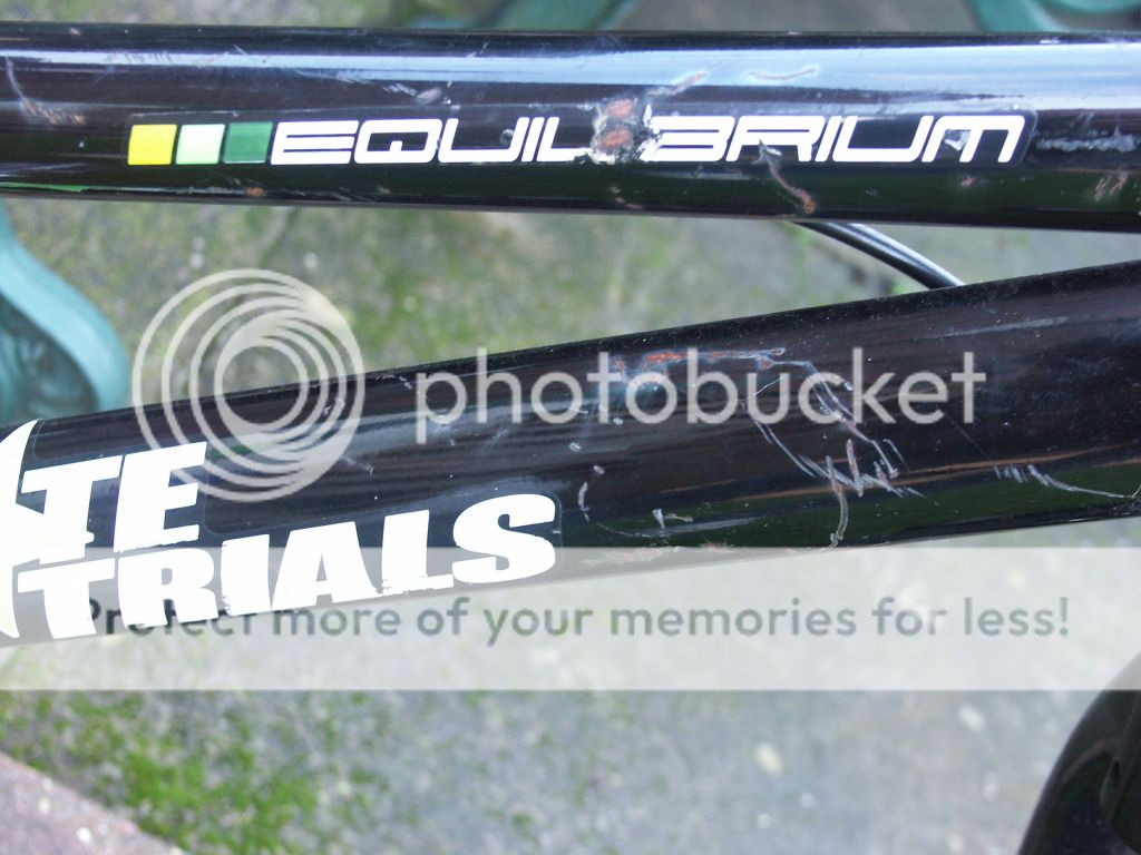 bikesandporsche029.jpg