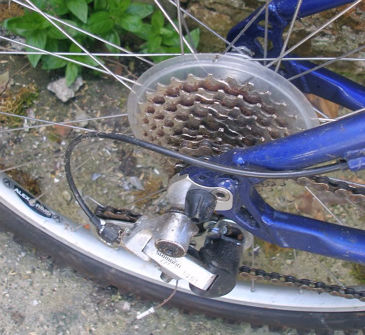 scott11.jpg