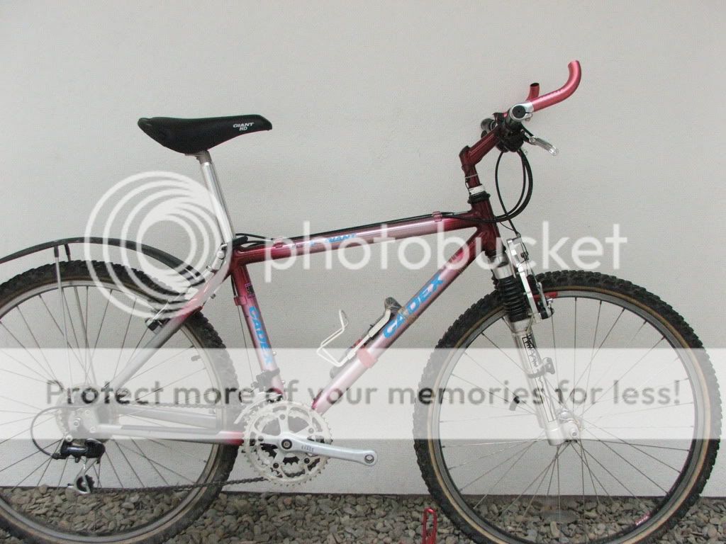 DSCF8132.jpg