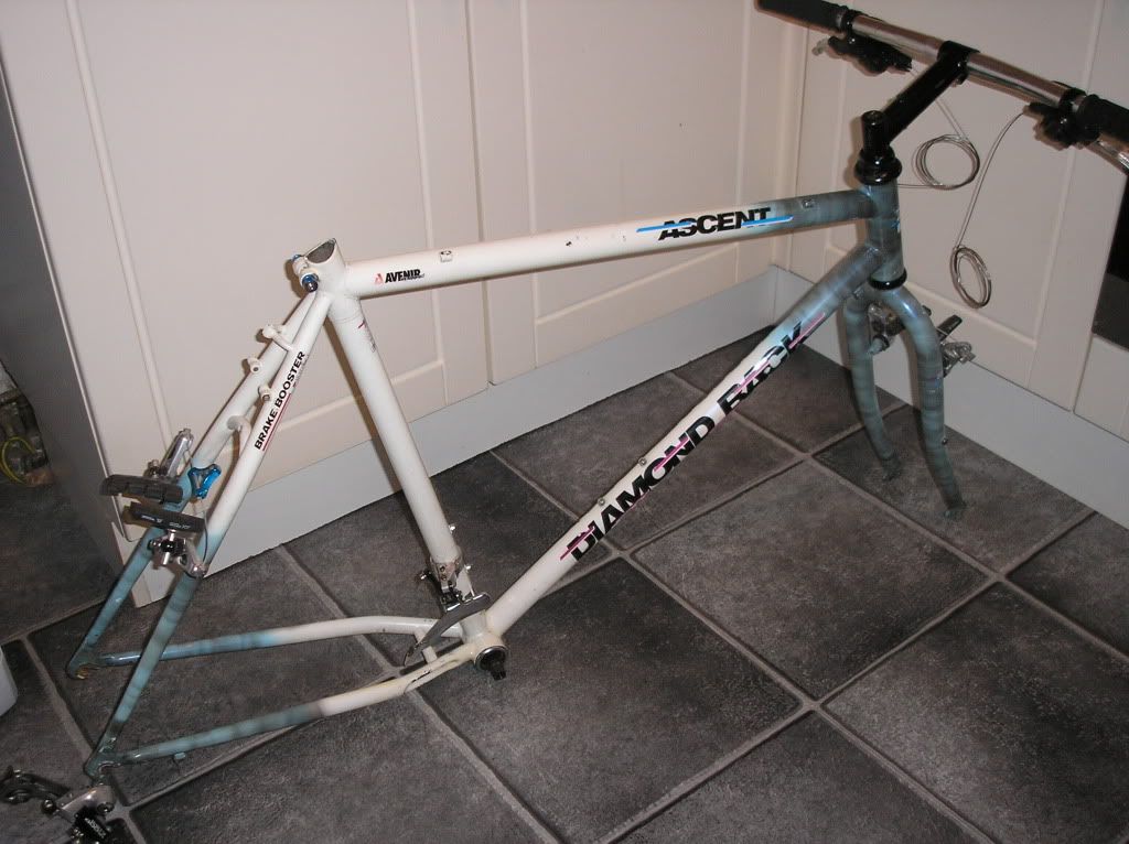 Diamondback001.jpg