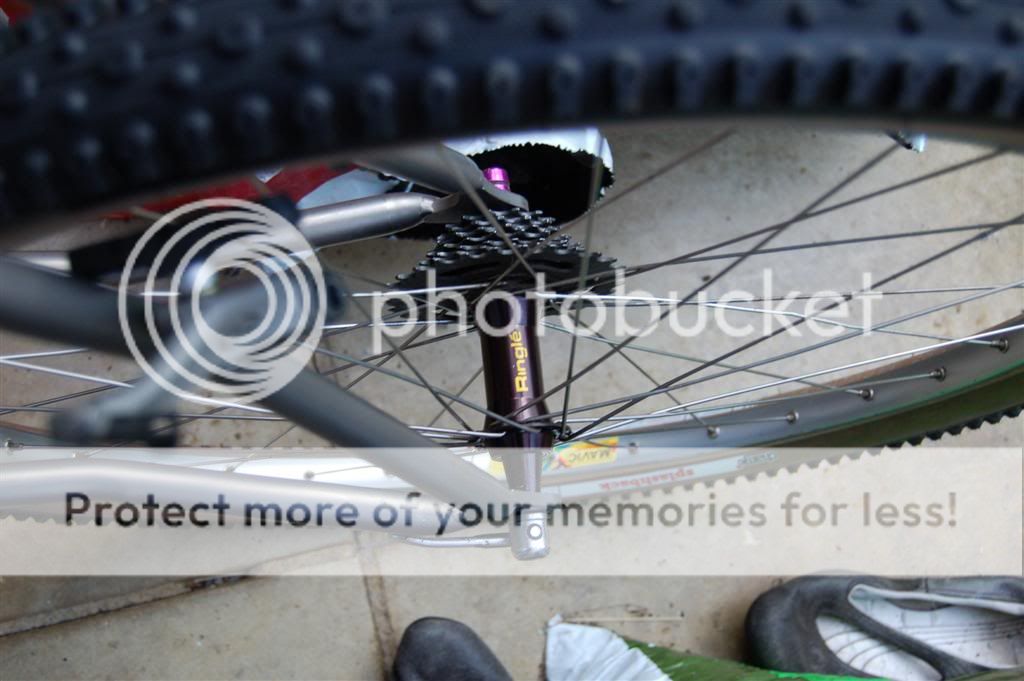 Ringle_Mavic006Large.jpg