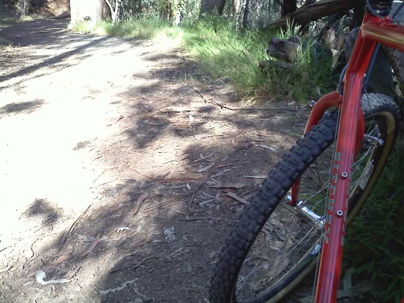 20110510170348.jpg