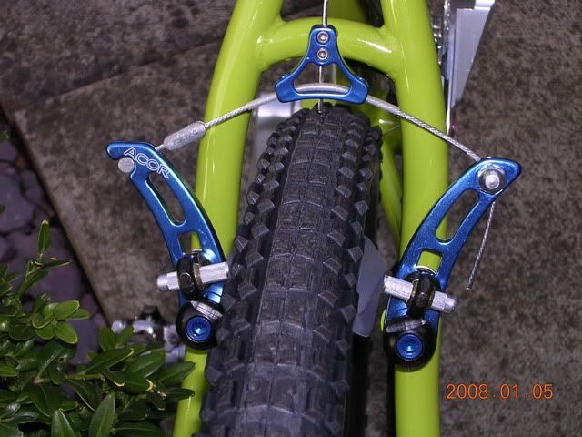 RockLobster009.jpg