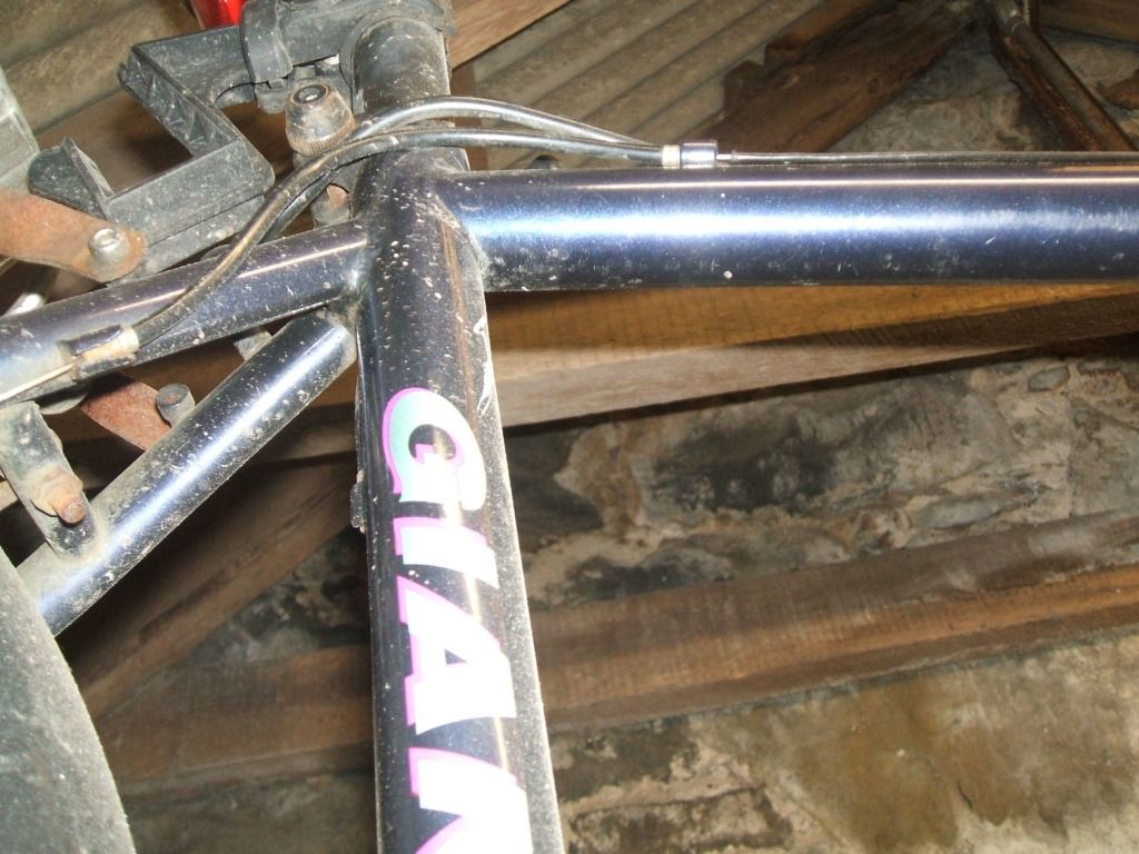 DSCF5496.jpg
