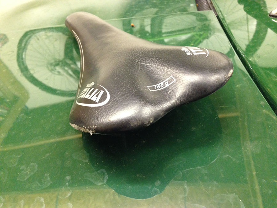 saddle2.jpg
