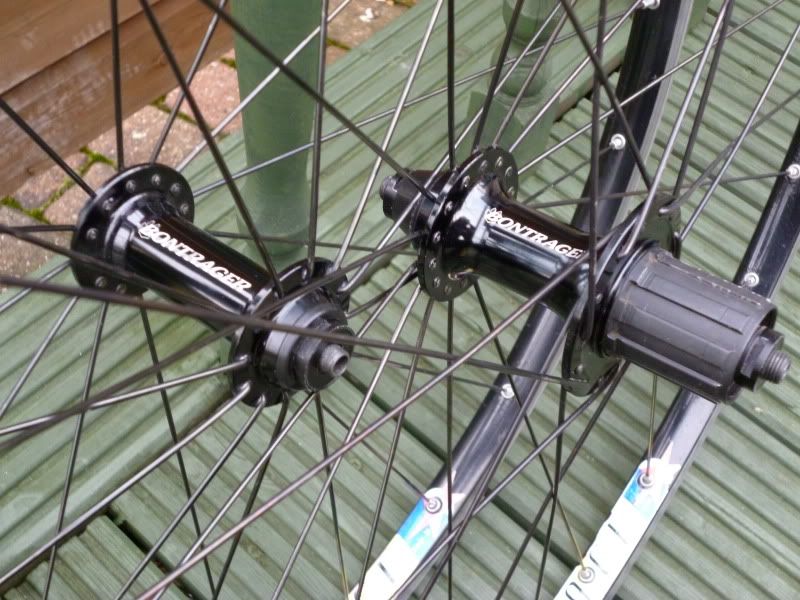 BontyRace003.jpg