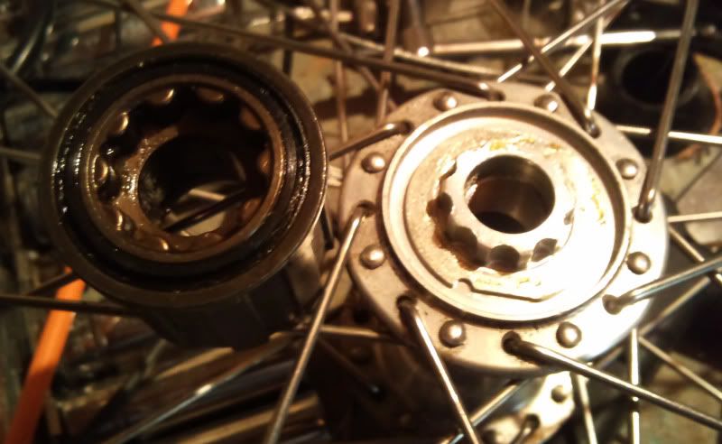 2011-03-18143237.jpg