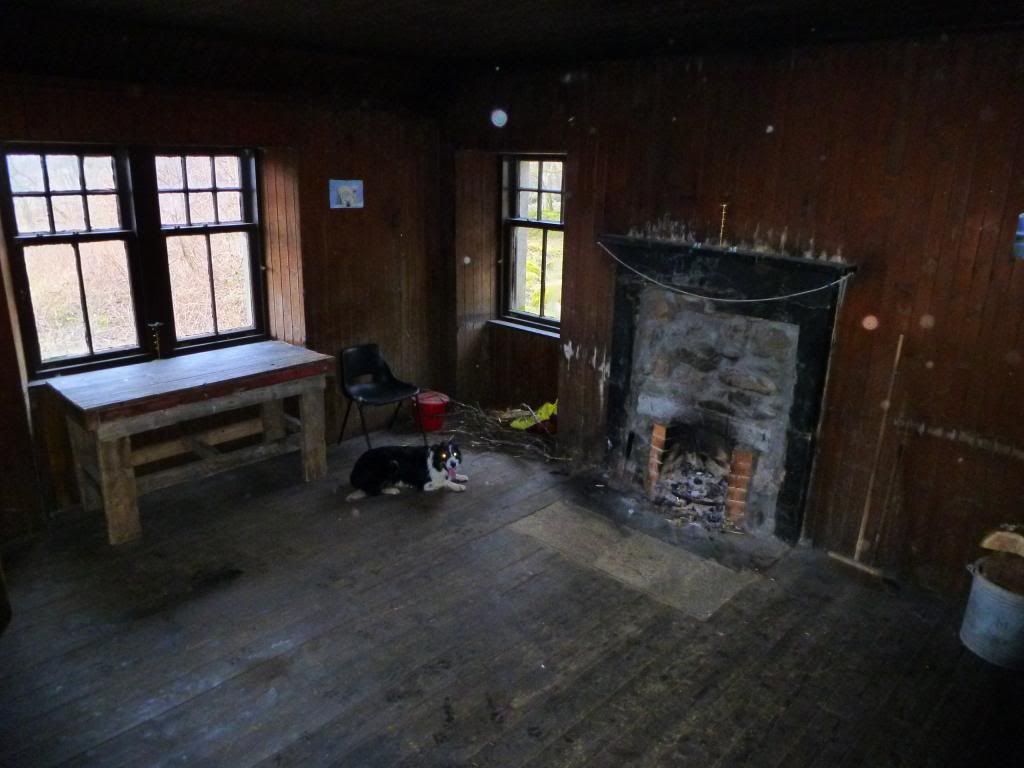 P1030469.jpg