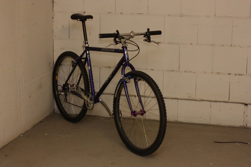 stumpy6.jpg