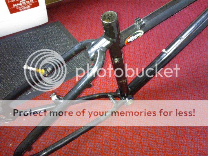 WP_000187.jpg