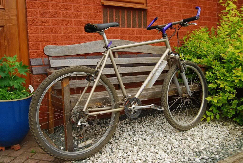 bike118.jpg