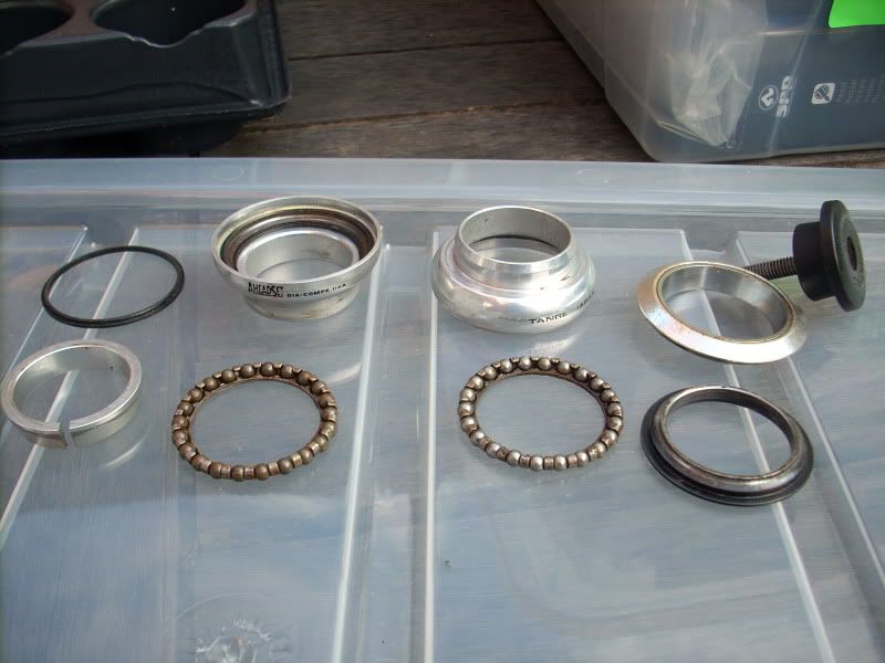 DSCN1024.jpg