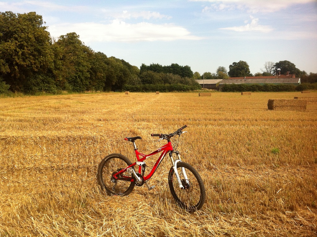 Field_Of_Dreams.jpg
