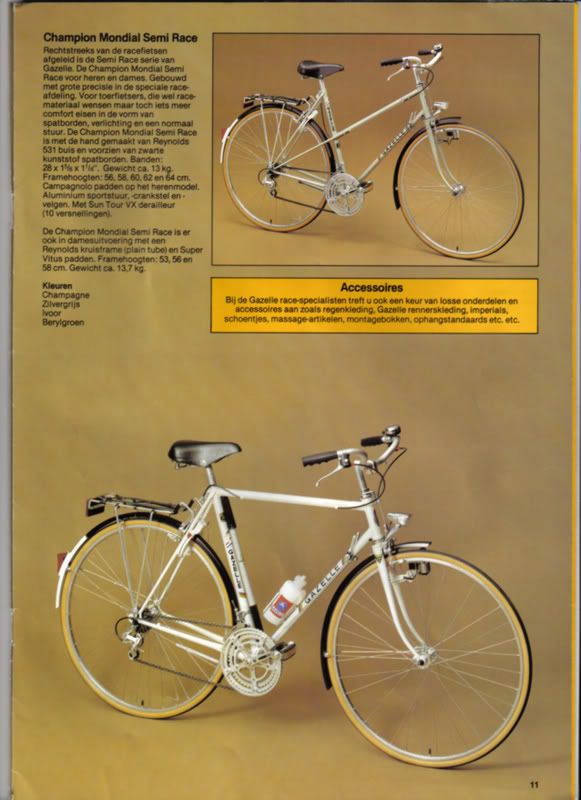 gazelle10.jpg