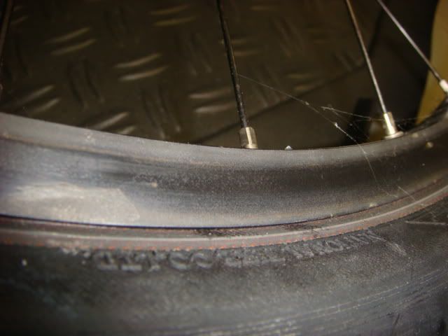 DSC01312.jpg