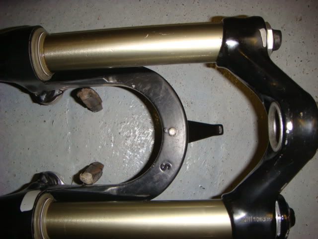 DSC01308.jpg