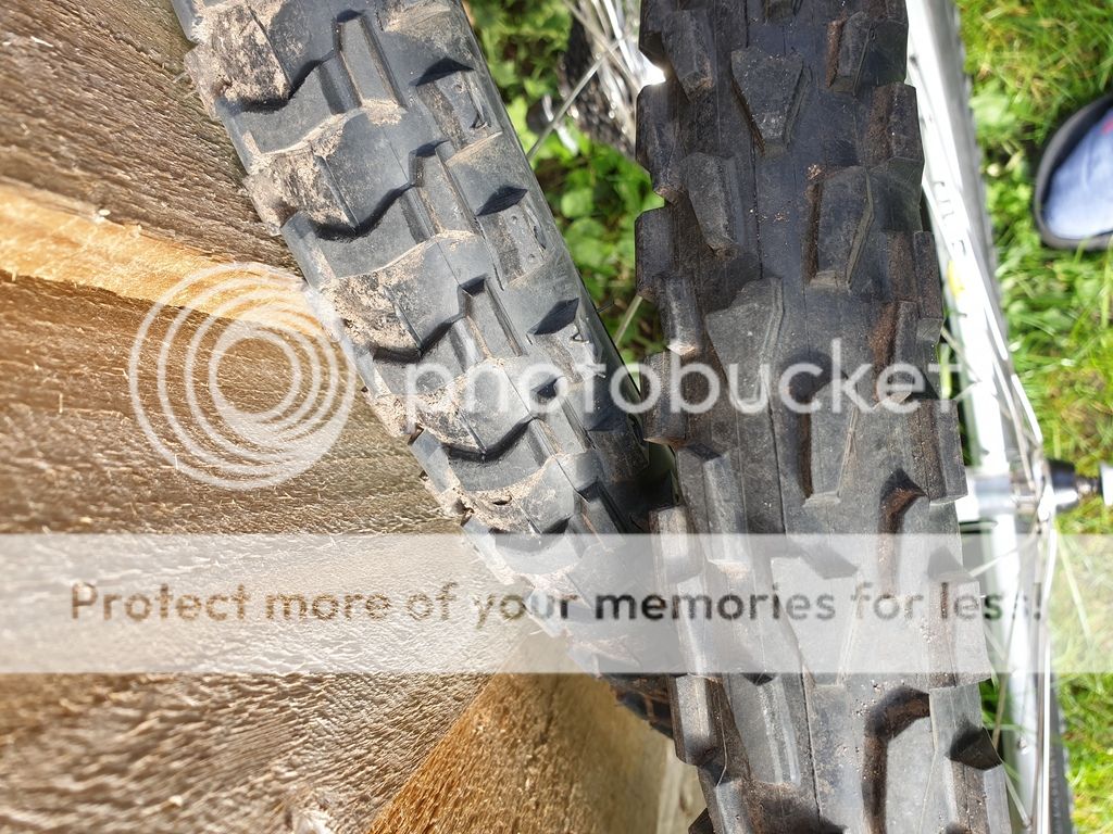 20190401_142237.jpg