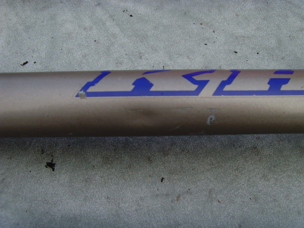 SNV35579.jpg