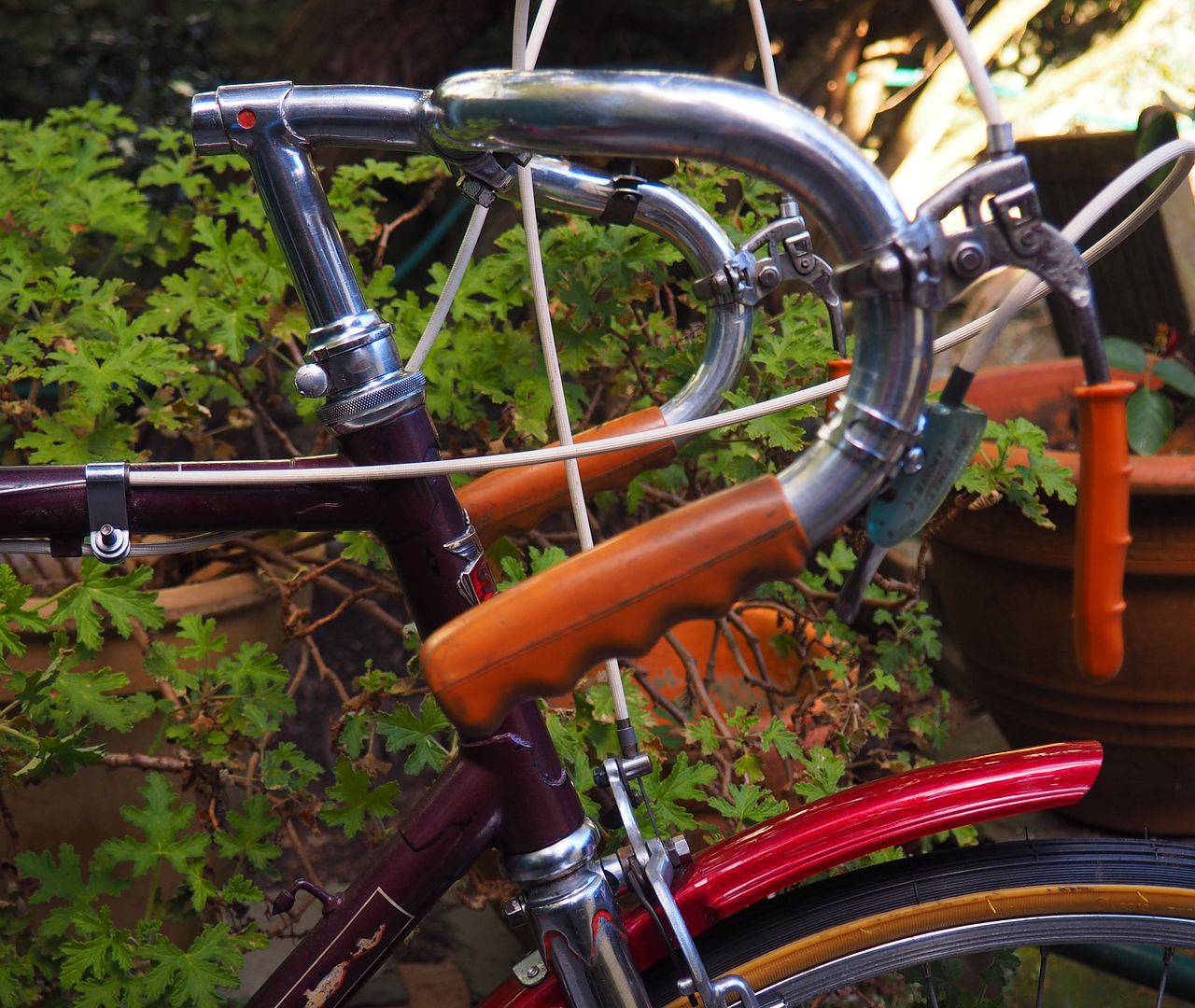 P3083024_zpsjc1iebmx.jpg