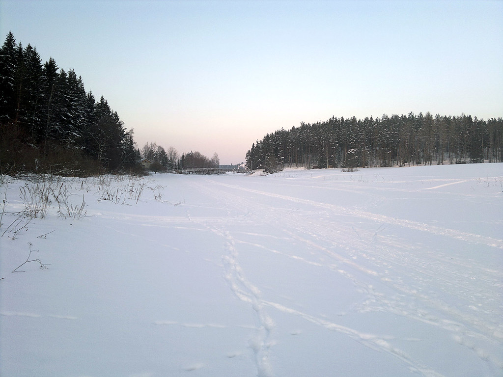 5471373829_fe76b81634_b.jpg