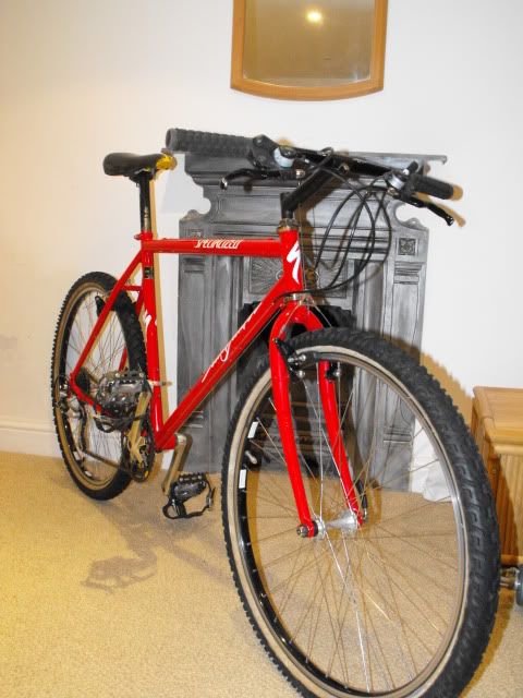 Stumpy019.jpg