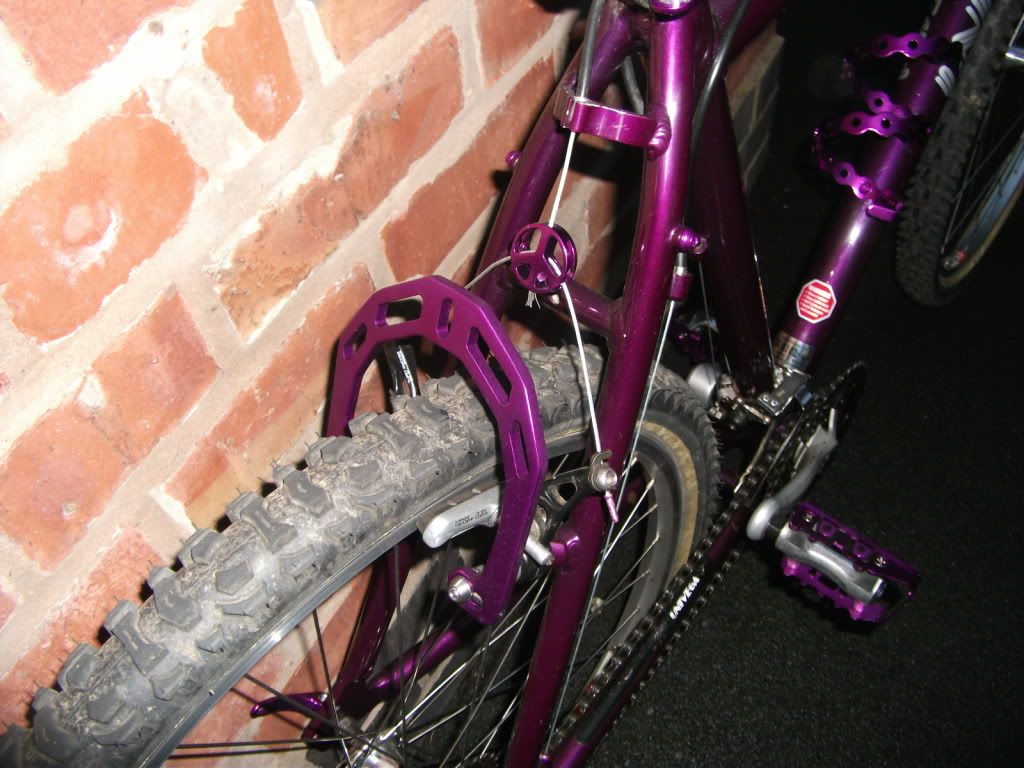 DSCF0577.jpg