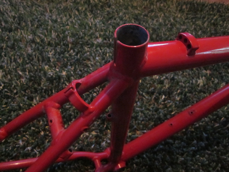 p4pb9956899.jpg