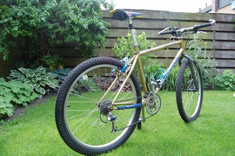 1996CinderCone540.jpg