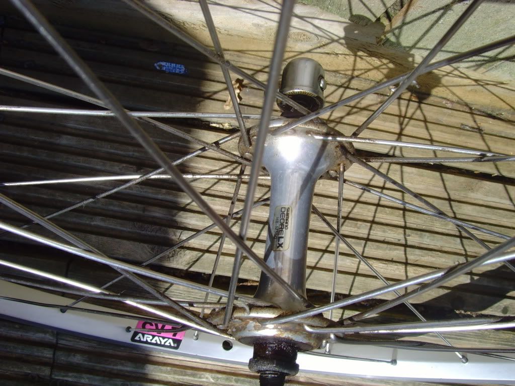 SNV34160.jpg