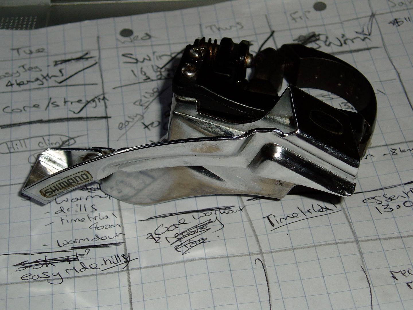 P1010012.jpg