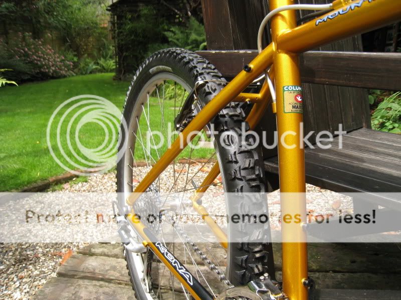 Forks003.jpg