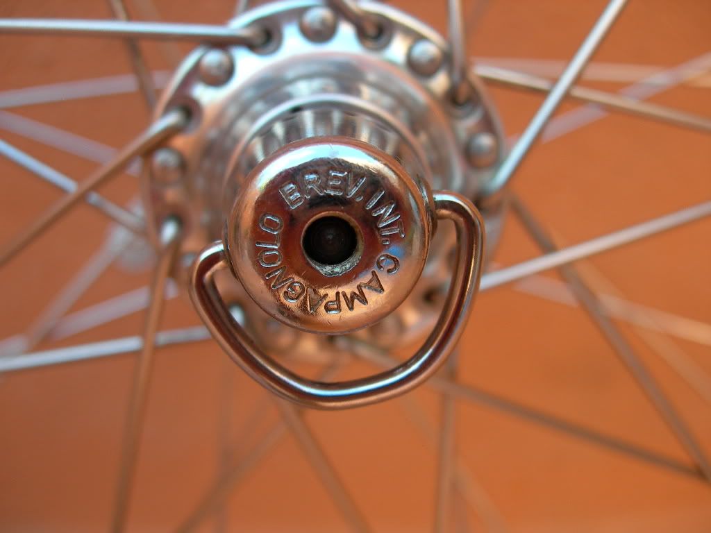 DSCN9395.jpg