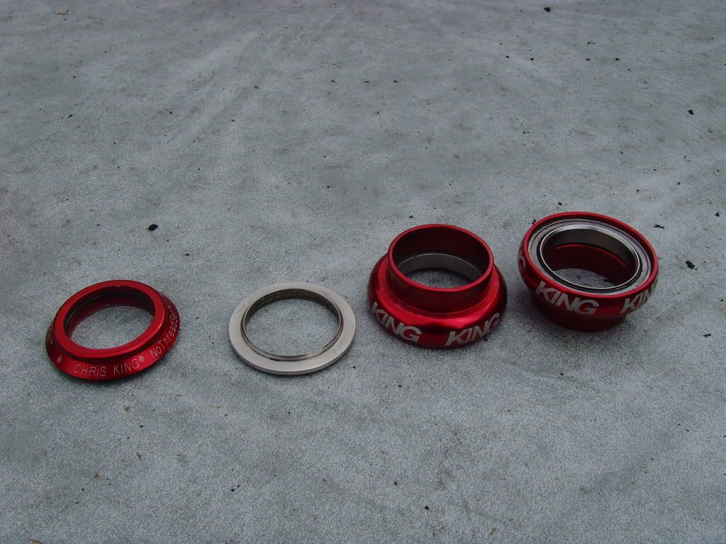 SNV35631.jpg