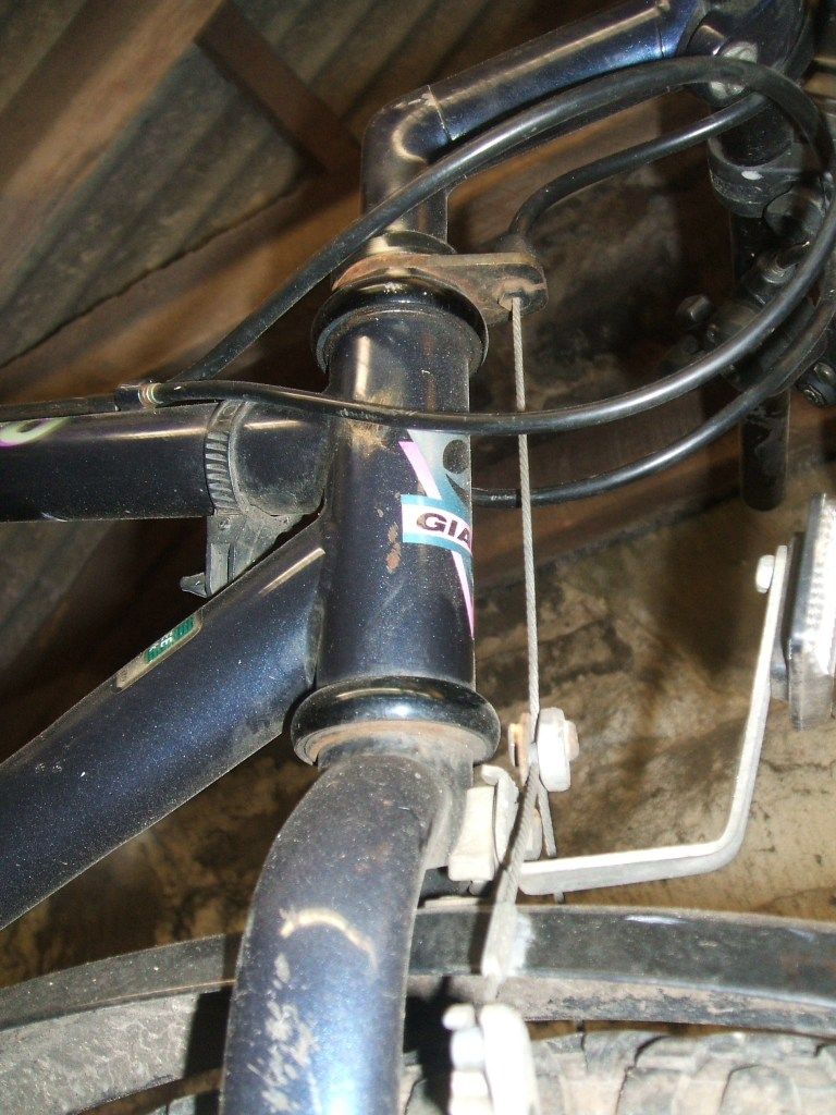 DSCF5494.jpg
