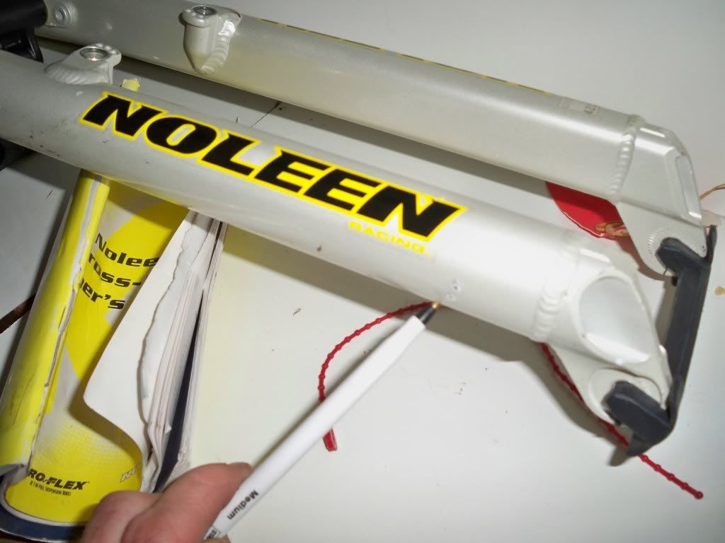 noleenscrape3.jpg