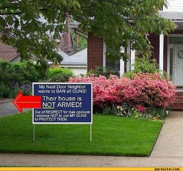 funny-pictures-auto-432413.jpeg