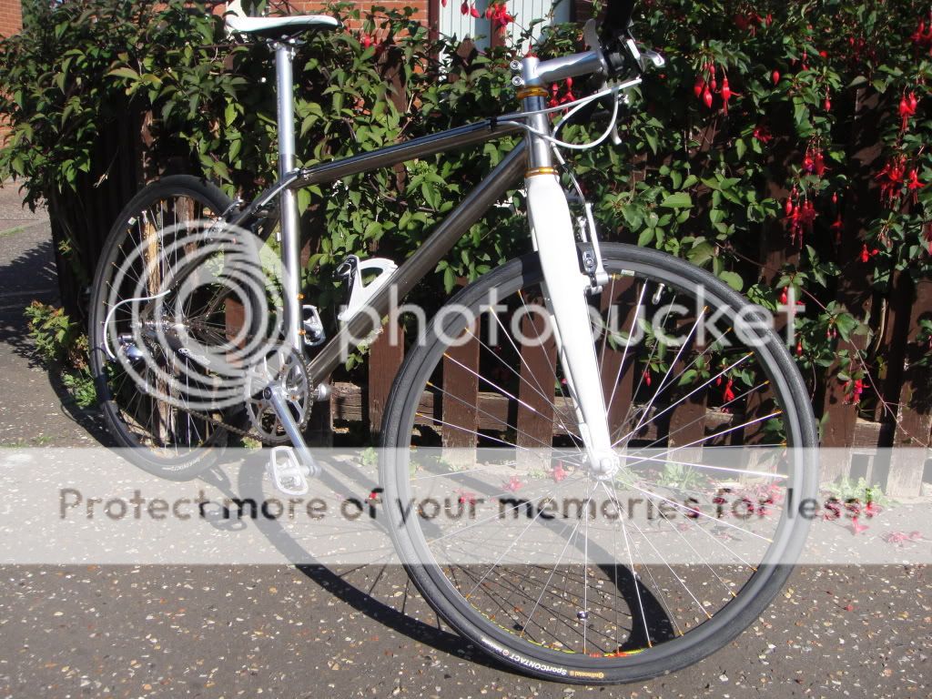 forsale013.jpg