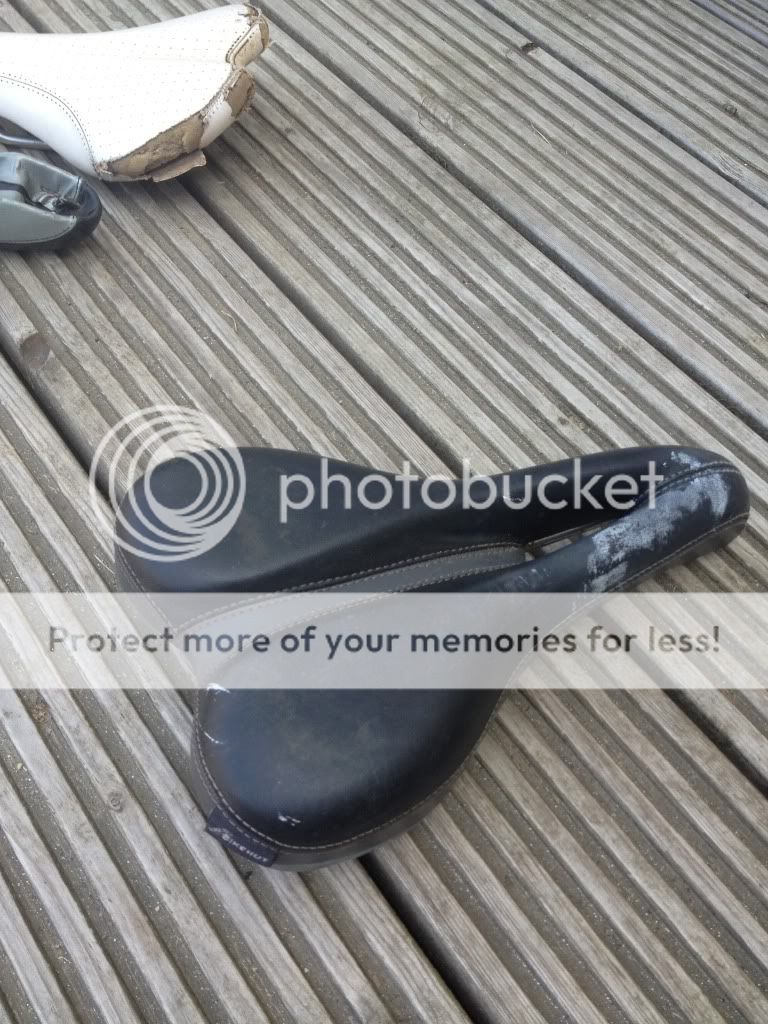 IMG_3174_zps165d0069.jpg
